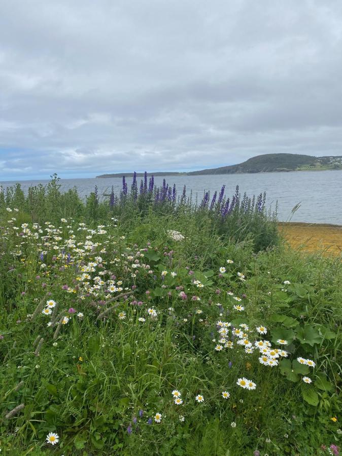 Villa Rocky Harbour Oceanfront Exterior foto